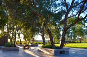 Relax in the Plaza of the Vineyard, great for winter.